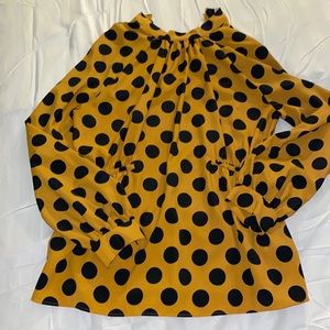 ZARA Polka Dot Top